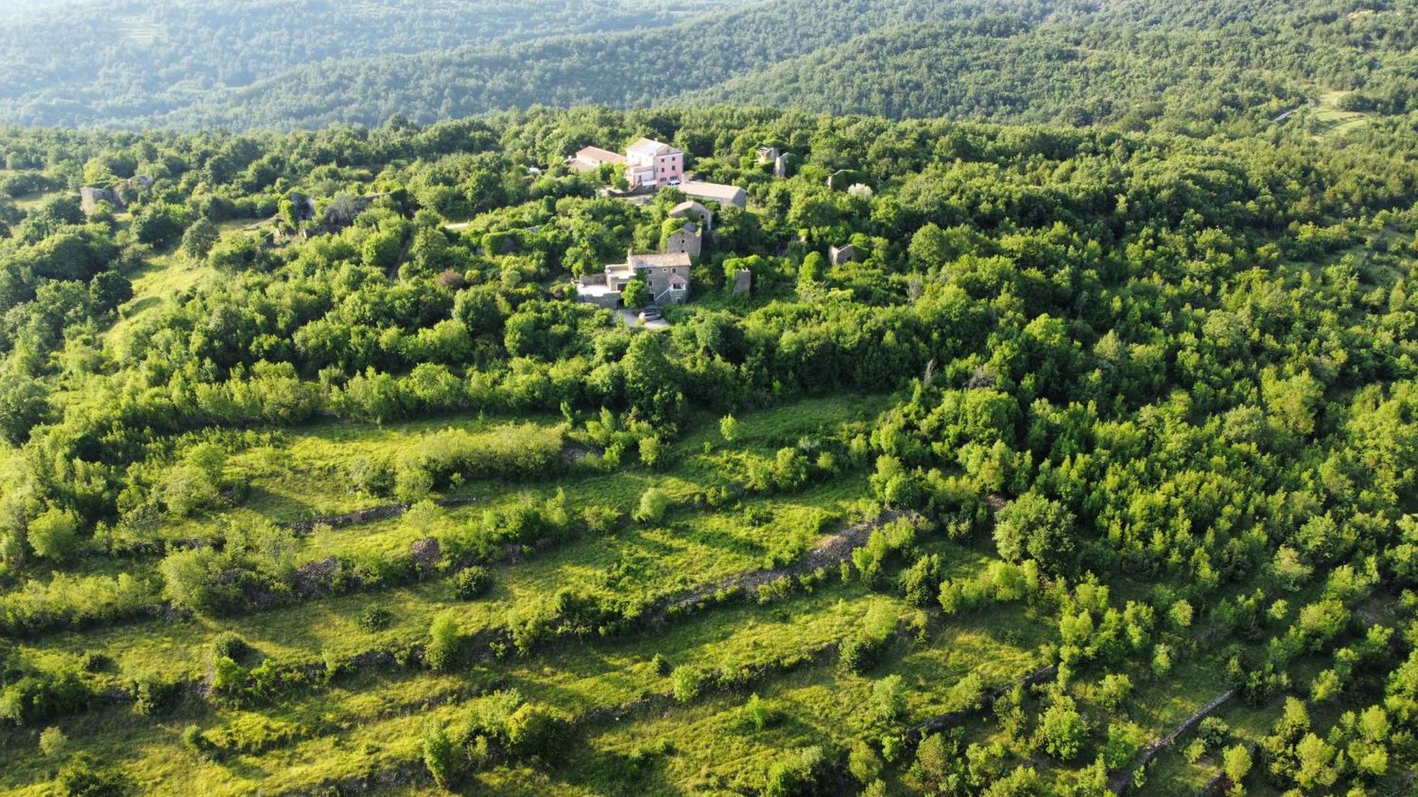 Casa Del Conte - Peaceful Hideaway In North Istria Villa โกรชน์ยัน ภายนอก รูปภาพ
